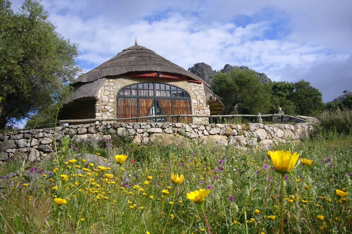 A stone cottage with a thatched roof, surrounded by a stone wall and a field of wildflowers.