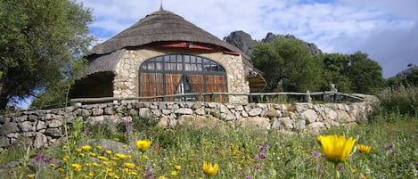 Cabin (10 pax) | View from room