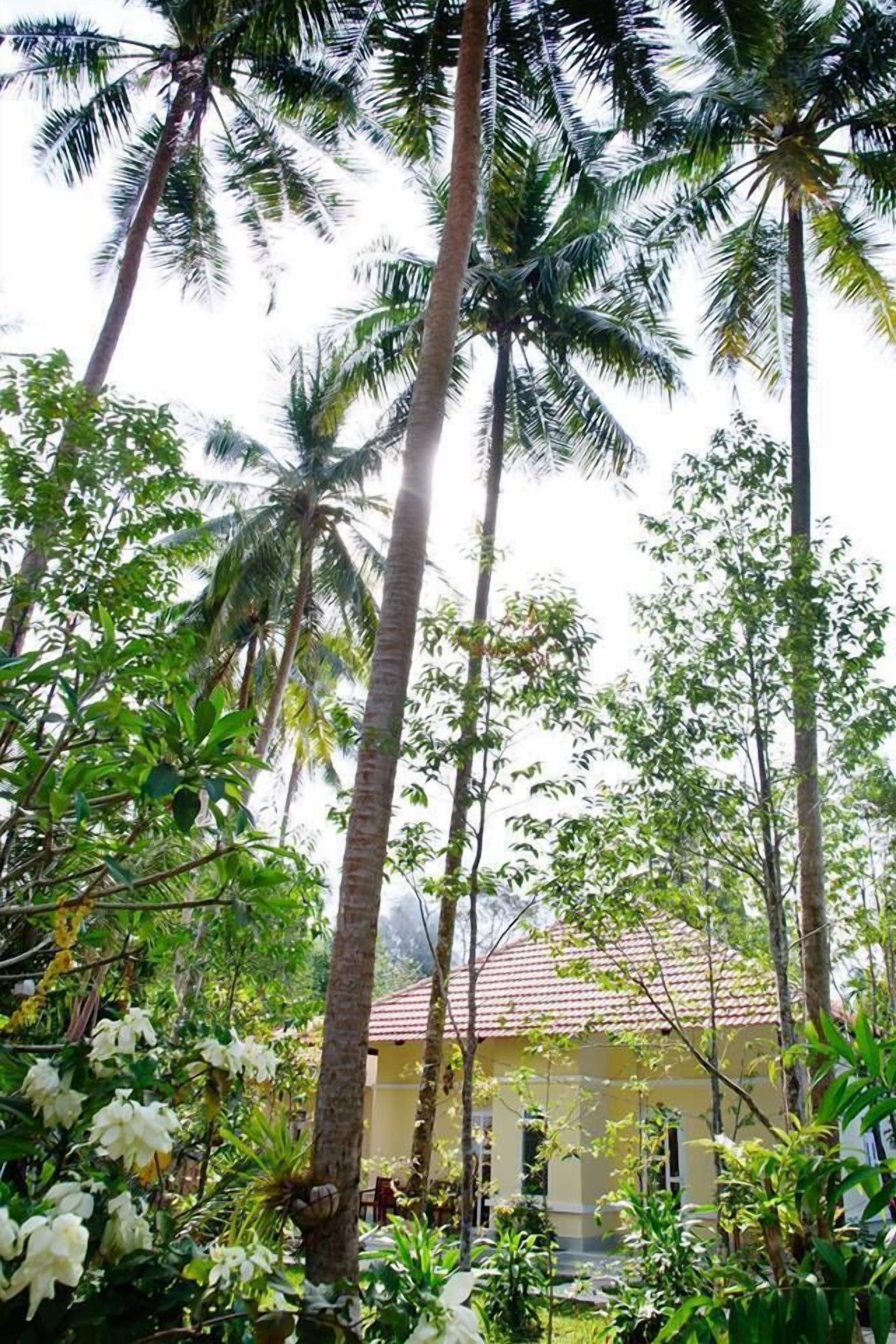 Bungalow, pemandangan kebun | Minibar, meja kerja, dan Wi-Fi gratis