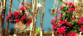 Duc Anh Garden Homestay