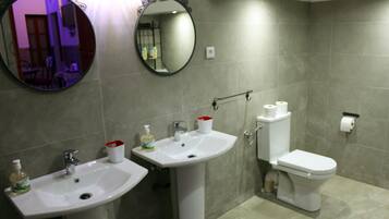 A bathroom with two sinks, a toilet, and a mirror.