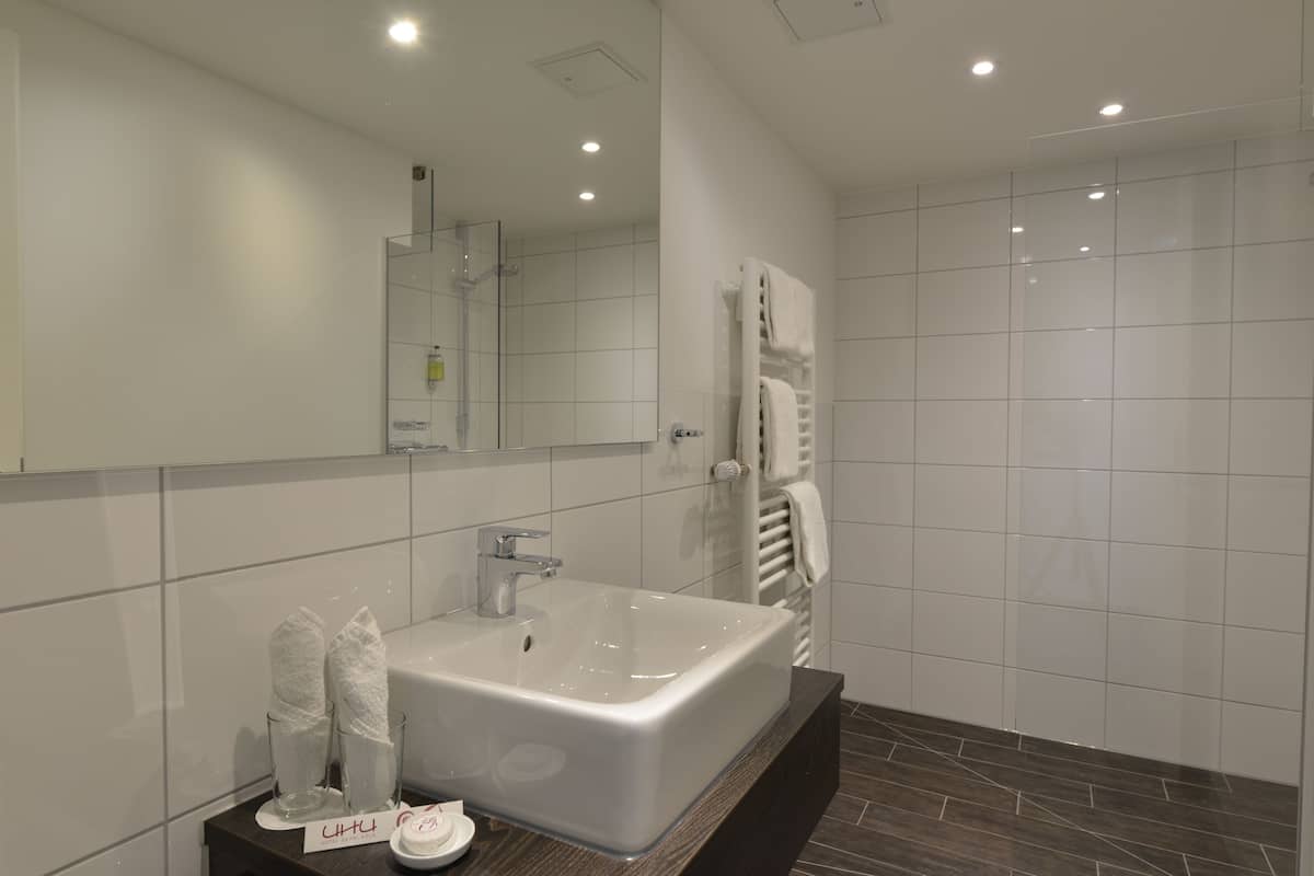 basic quadruple room (suterain) | bathroom shower