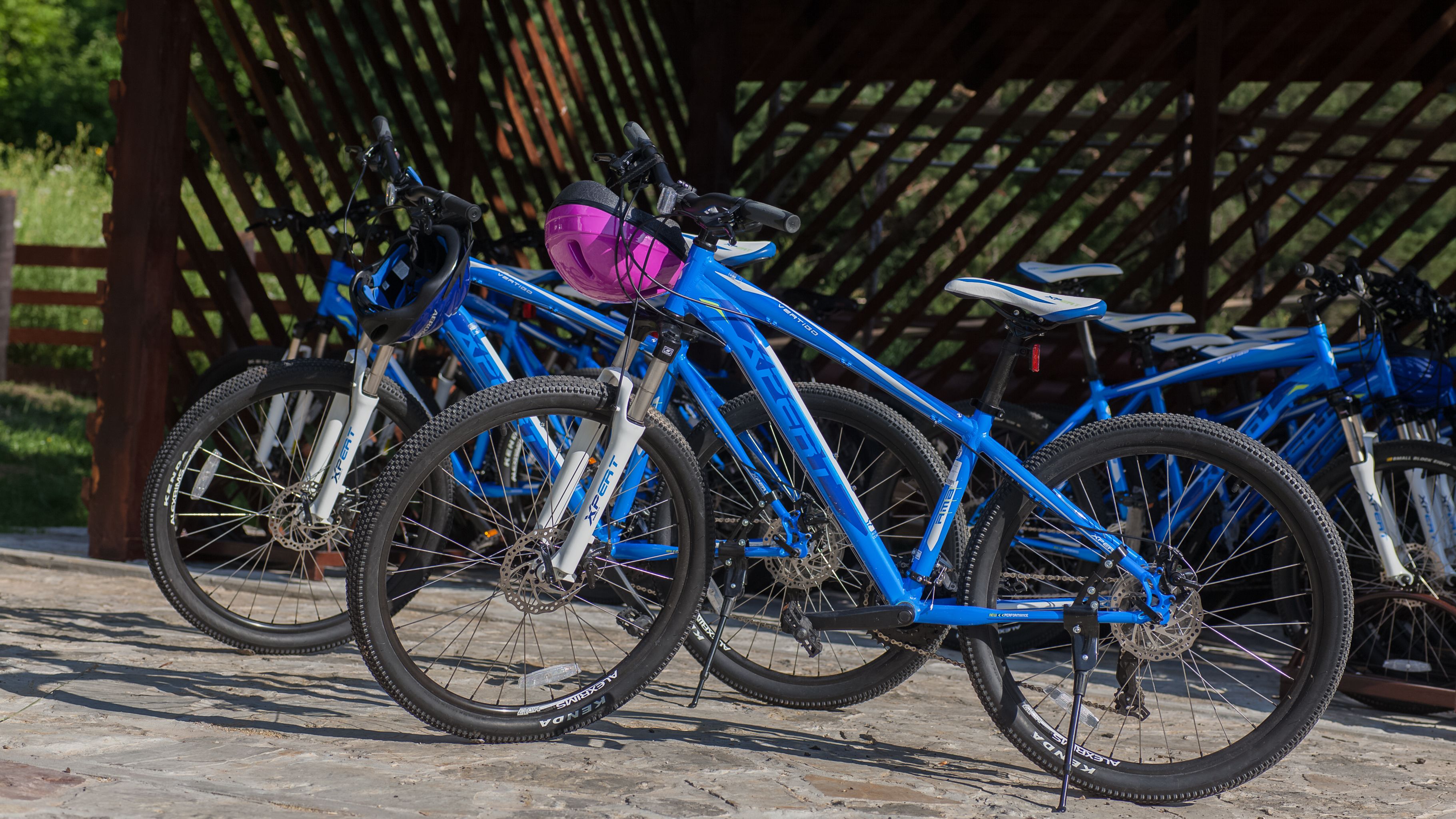 A row of blue bicycles parked outdoors, with a wooden structure in the background.