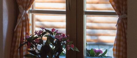 A window with checkered curtains and a potted plant on the sill.