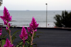 A flower arrangement with a view of the sea in the background. - Exclusive B&B Sweet Home & Wellness (Nettuno)