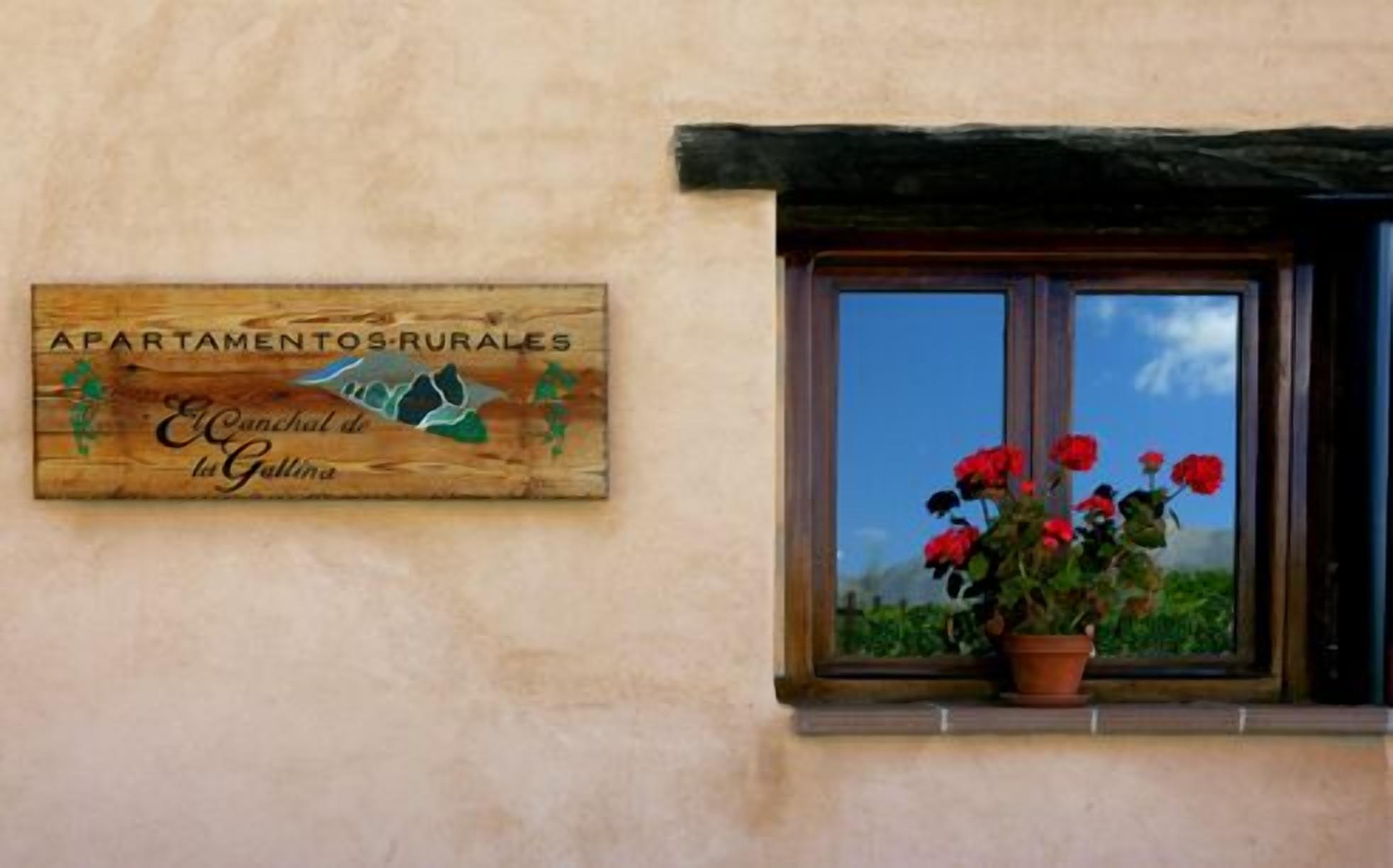 A wooden sign with text and a logo, a window with a view of red flowers, and a clear sky.
