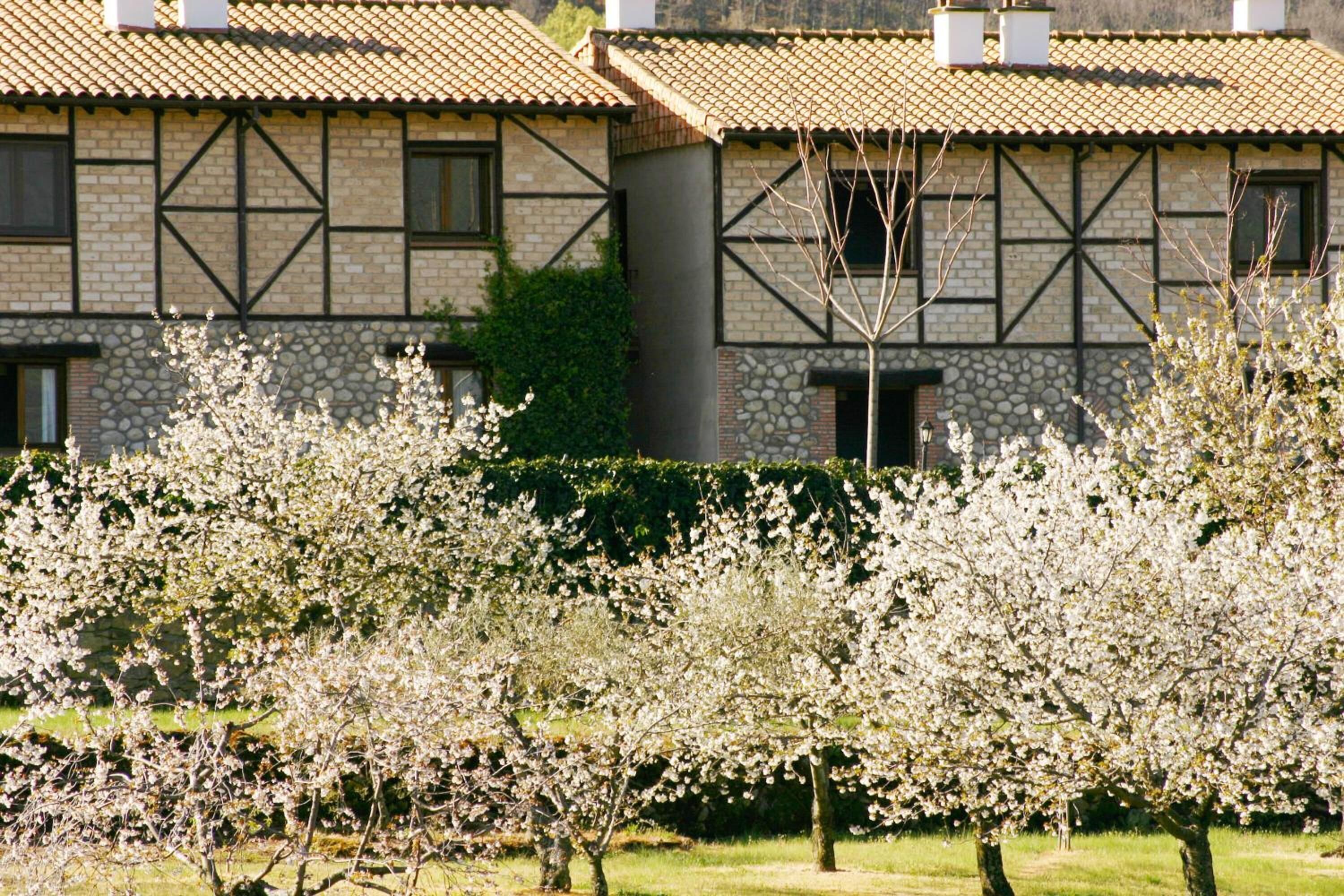 Un bâtiment traditionnel avec des murs en pierre apparentes et une charpente en bois.