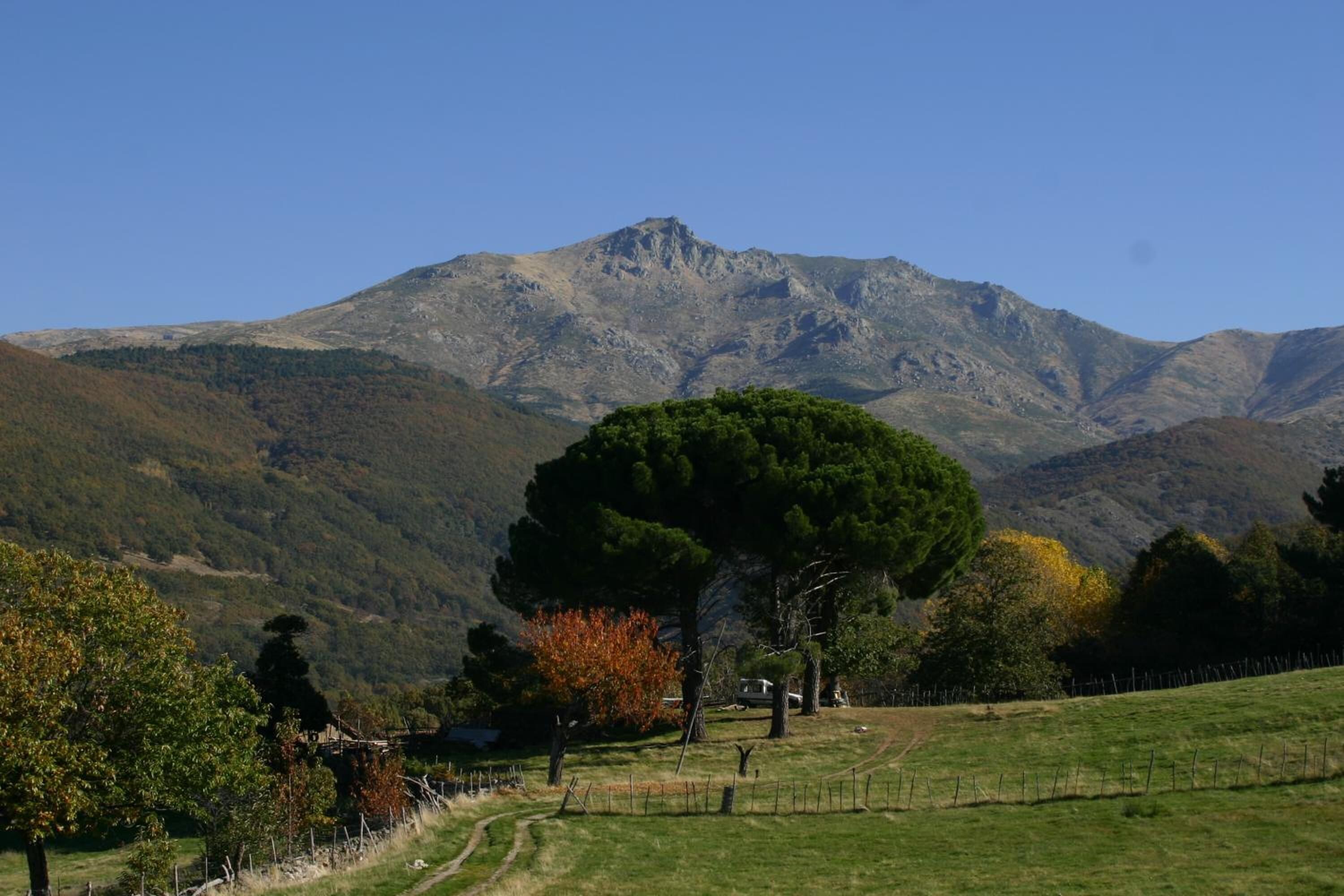 Paisaje montañoso con un árbol destacado en primer plano y un cielo despejado.