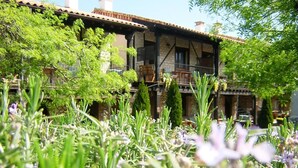 Un edificio tradicional con balcón, rodeado de exuberante follaje y plantas en flor.