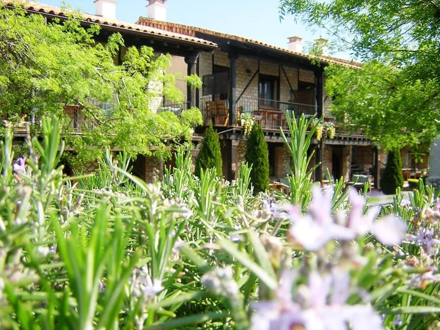 A traditional building with a balcony, surrounded by lush greenery and flowering plants.
