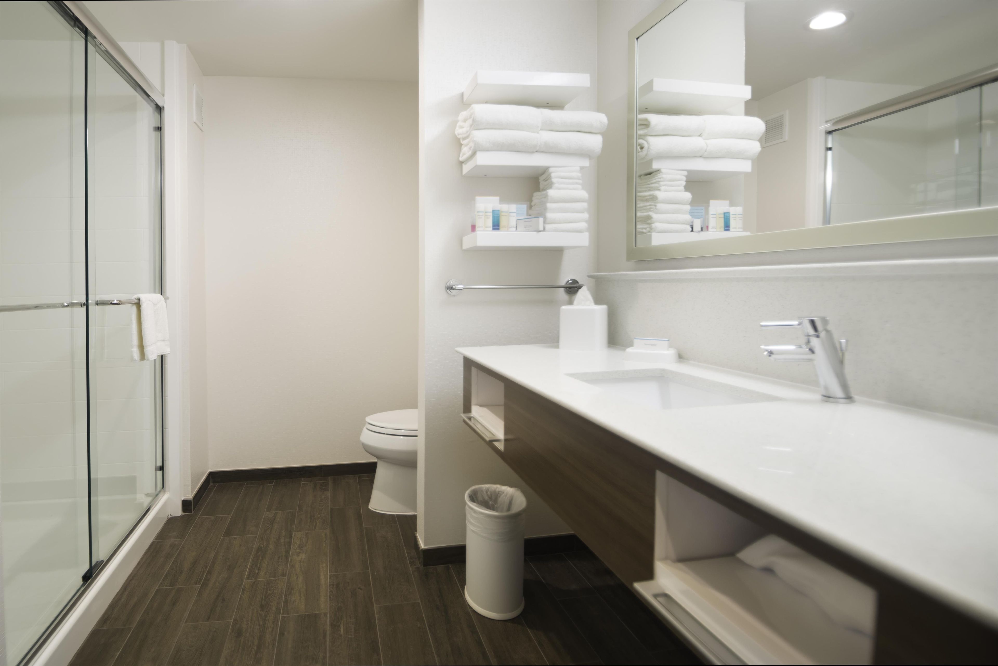 A modern bathroom with a glass shower enclosure, a toilet, and a vanity with a mirror.