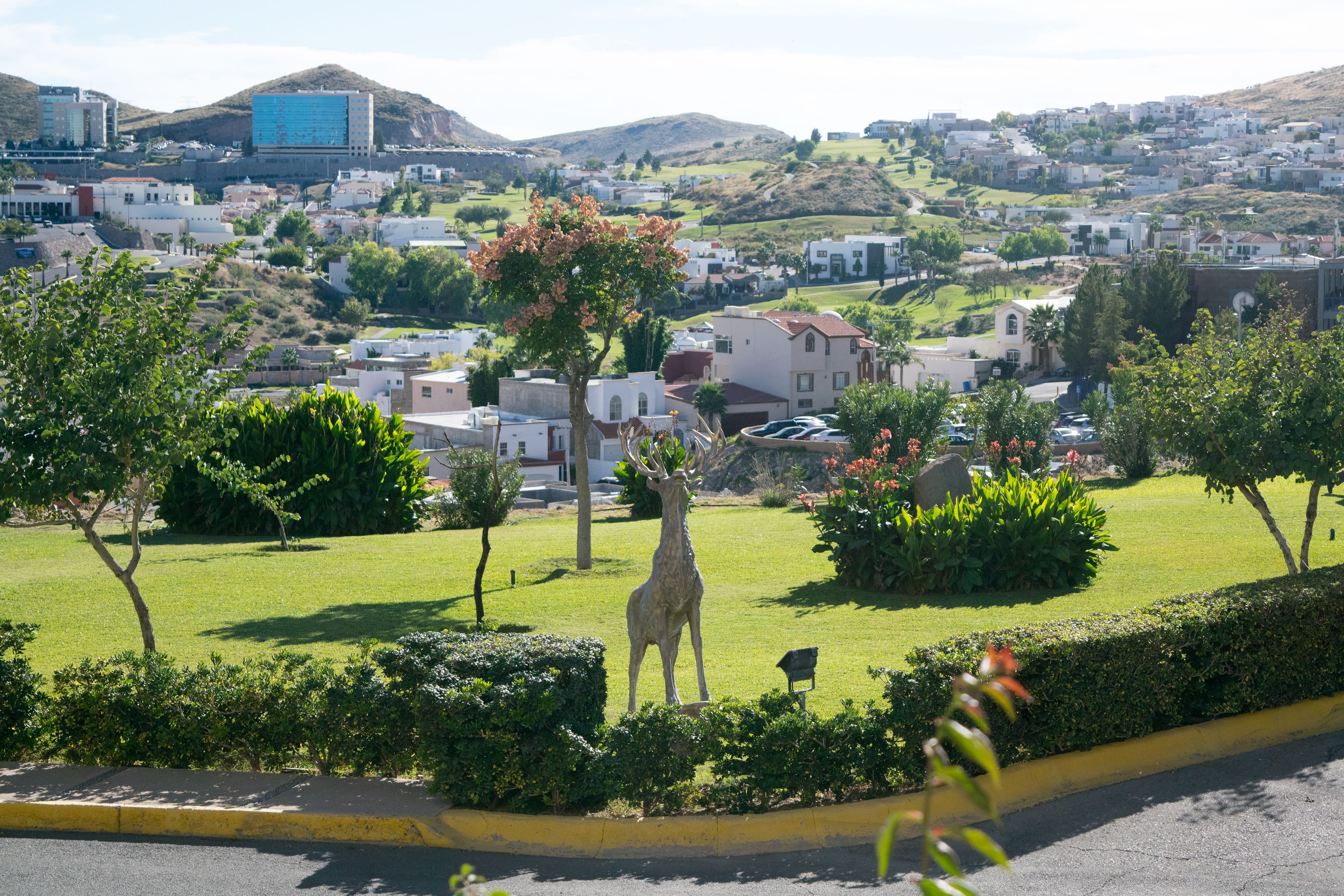 Foto - Sheraton Chihuahua Soberano