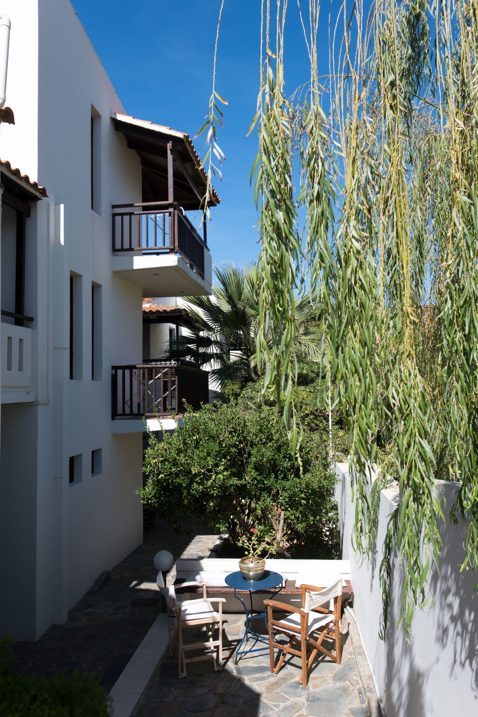 A courtyard with a table and chairs, a potted plant, and a hanging plant.