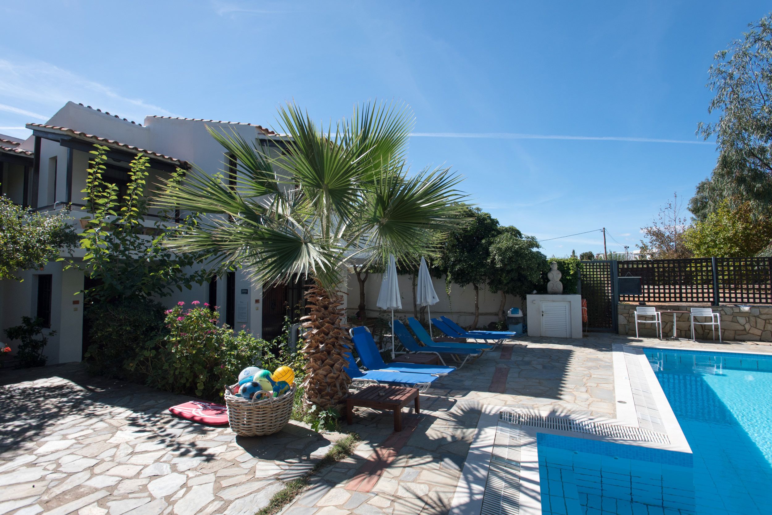 A pool area with lounge chairs, a palm tree, and a stone pathway.