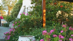 A courtyard with a white building, a pergola, and pink flowering plants. - Proimos Maisonnettes (Platanias)