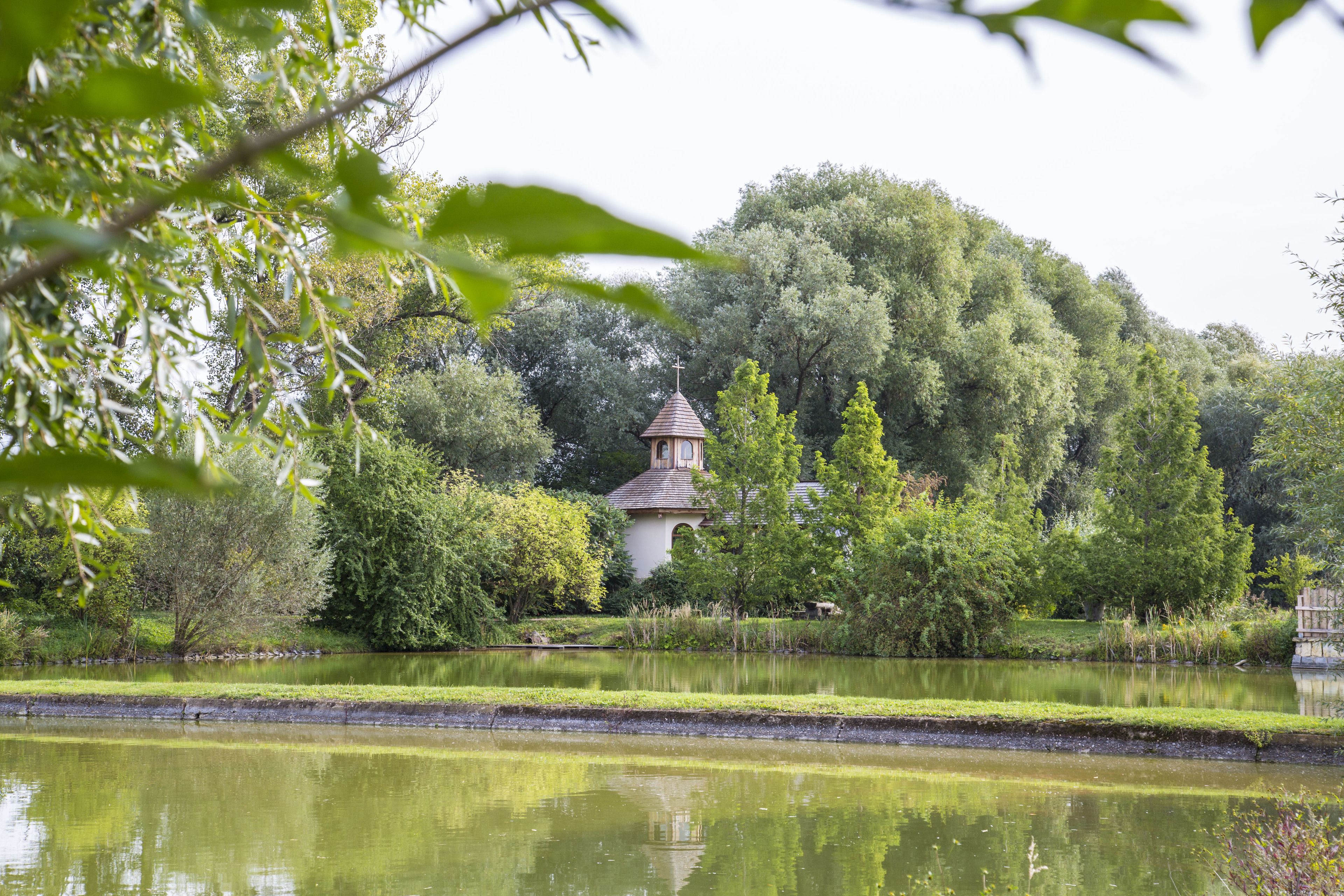 A serene park with a small building surrounded by lush greenery and a calm pond.