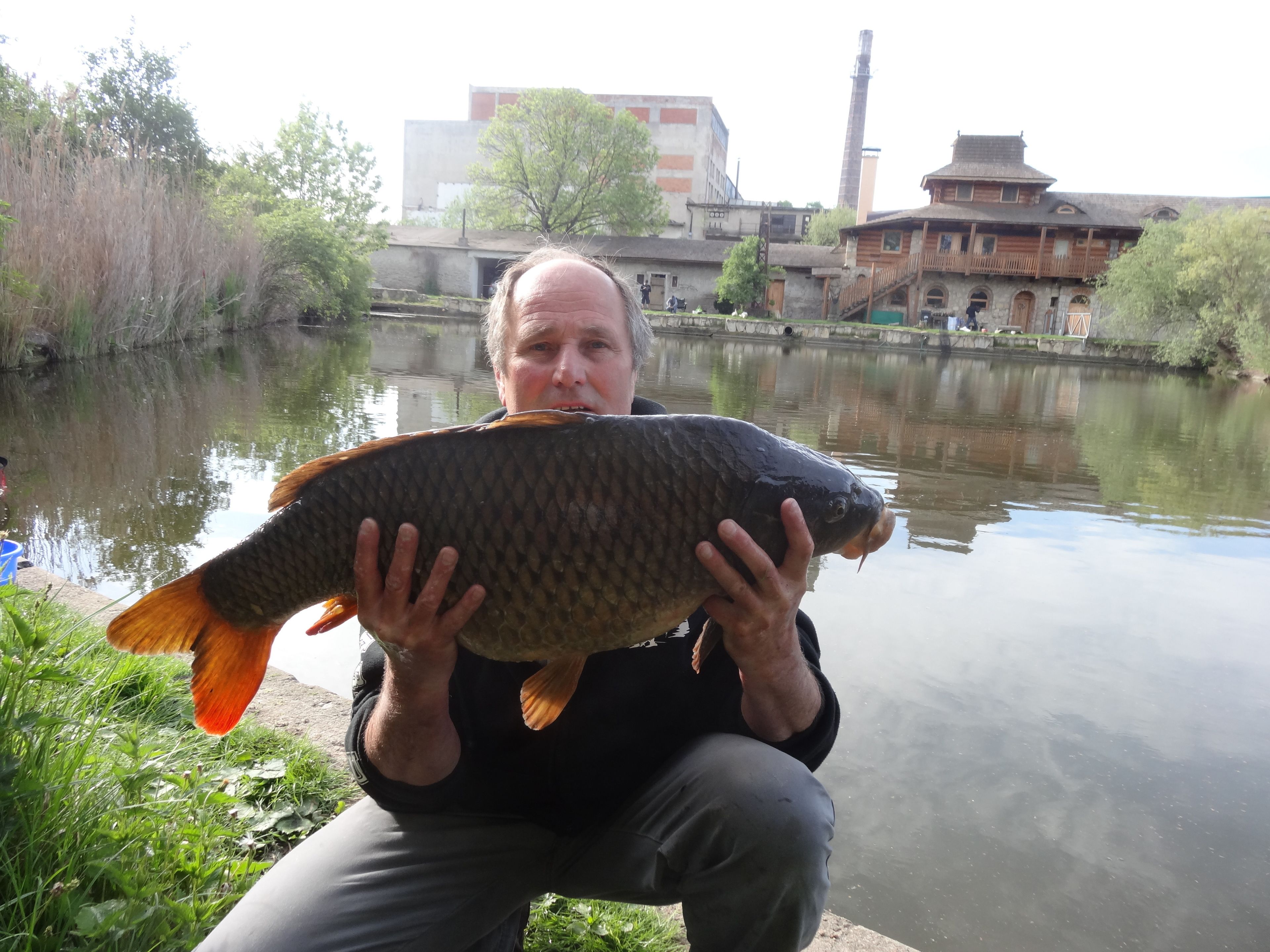 A person holding a large fish by a calm river with buildings in the background.
