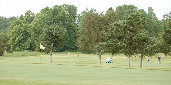 Un campo de golf con una bandera, árboles y un carrito.
