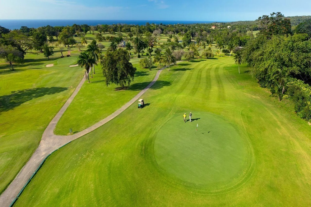 Sandals Royal Plantation by null
