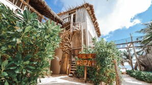 A wooden staircase leading to a building with a thatched roof, surrounded by lush greenery and a sign indicating a spa. - Dune Boutique Hotel located at the party zone (Tulum)