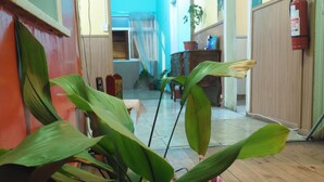 Un pasillo con una planta en maceta, un extintor y suelo de madera.