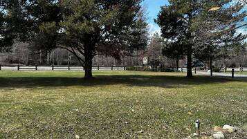 Habitación individual superior, 1 cama de matrimonio grande | Vistas desde la habitación