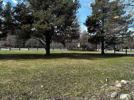 King Room | View from room