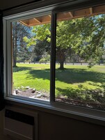 Vista desde la habitación