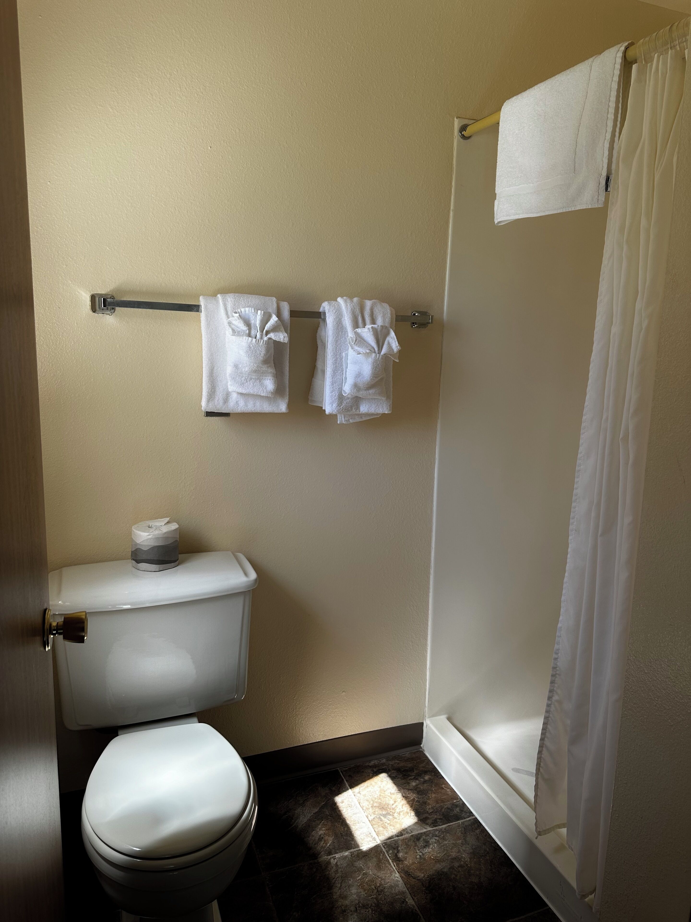 A bathroom with a toilet, a towel rack with two towels, a toilet paper holder, and a shower curtain.