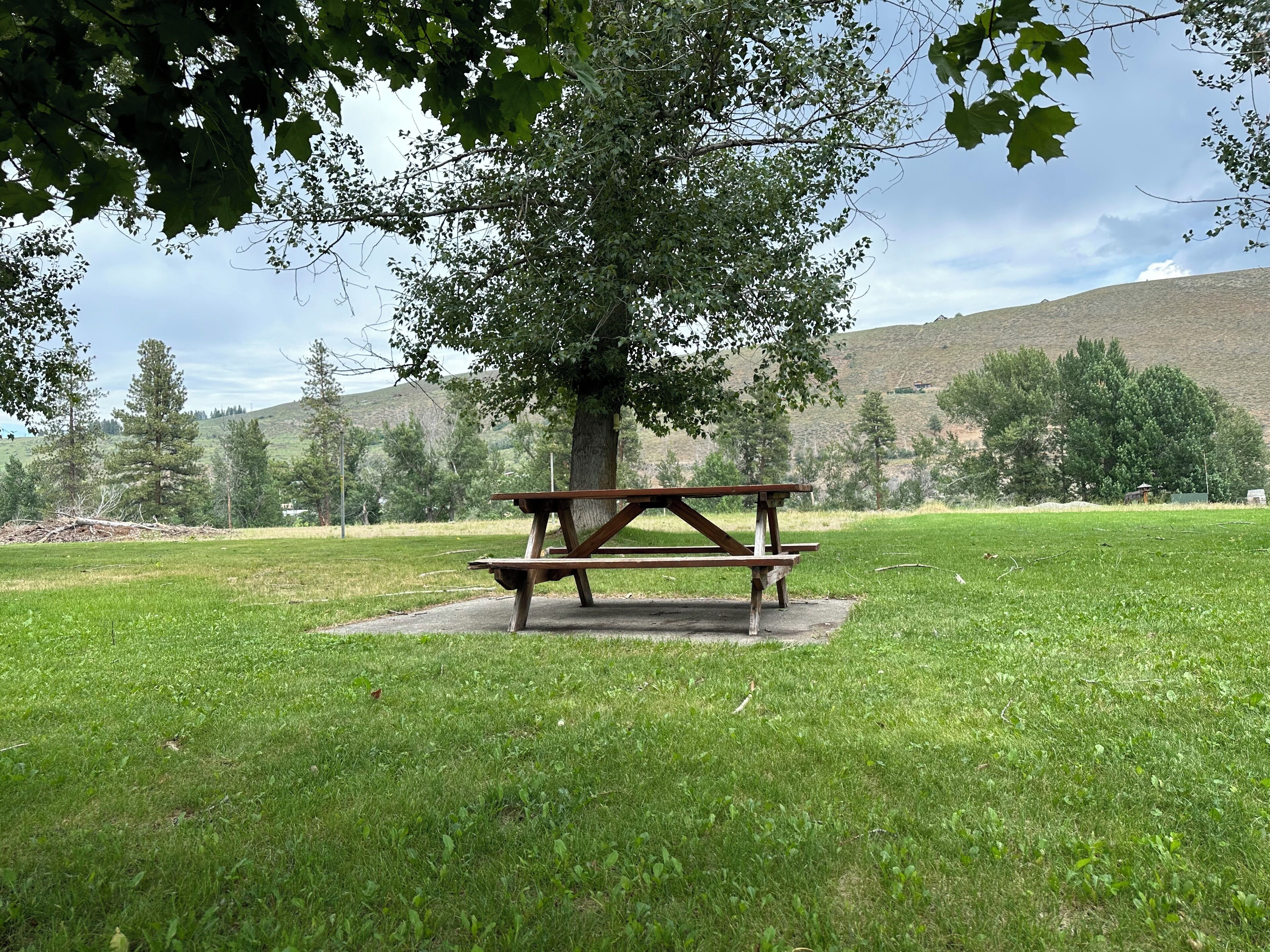 Grill-/picnicområde