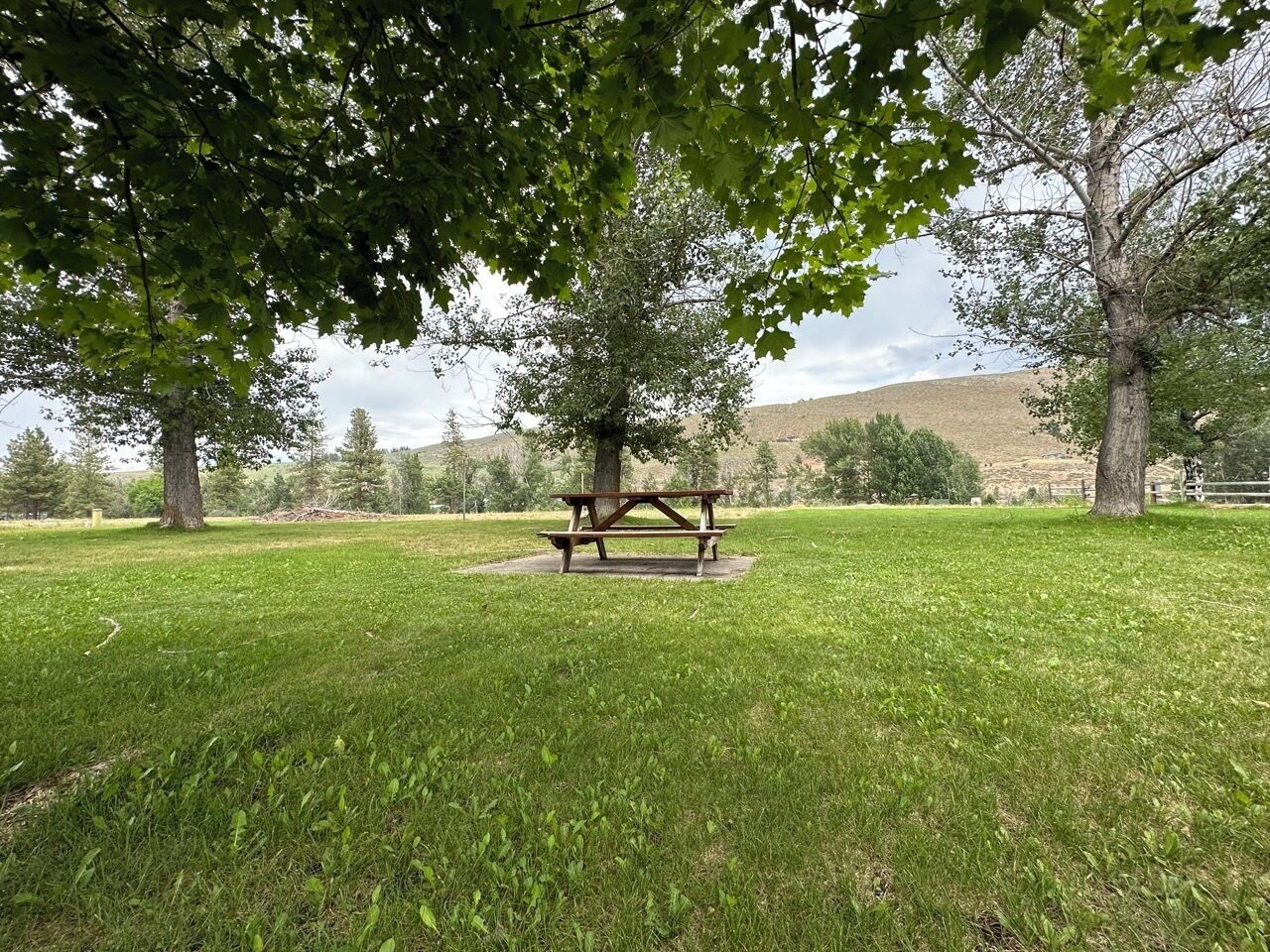 A picnic table in a grassy park area with trees.