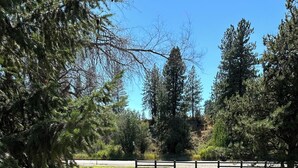 A grassy area with trees and a fence.