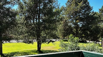 Room, 2 Queen Beds (Pet Friendly,) | View from room