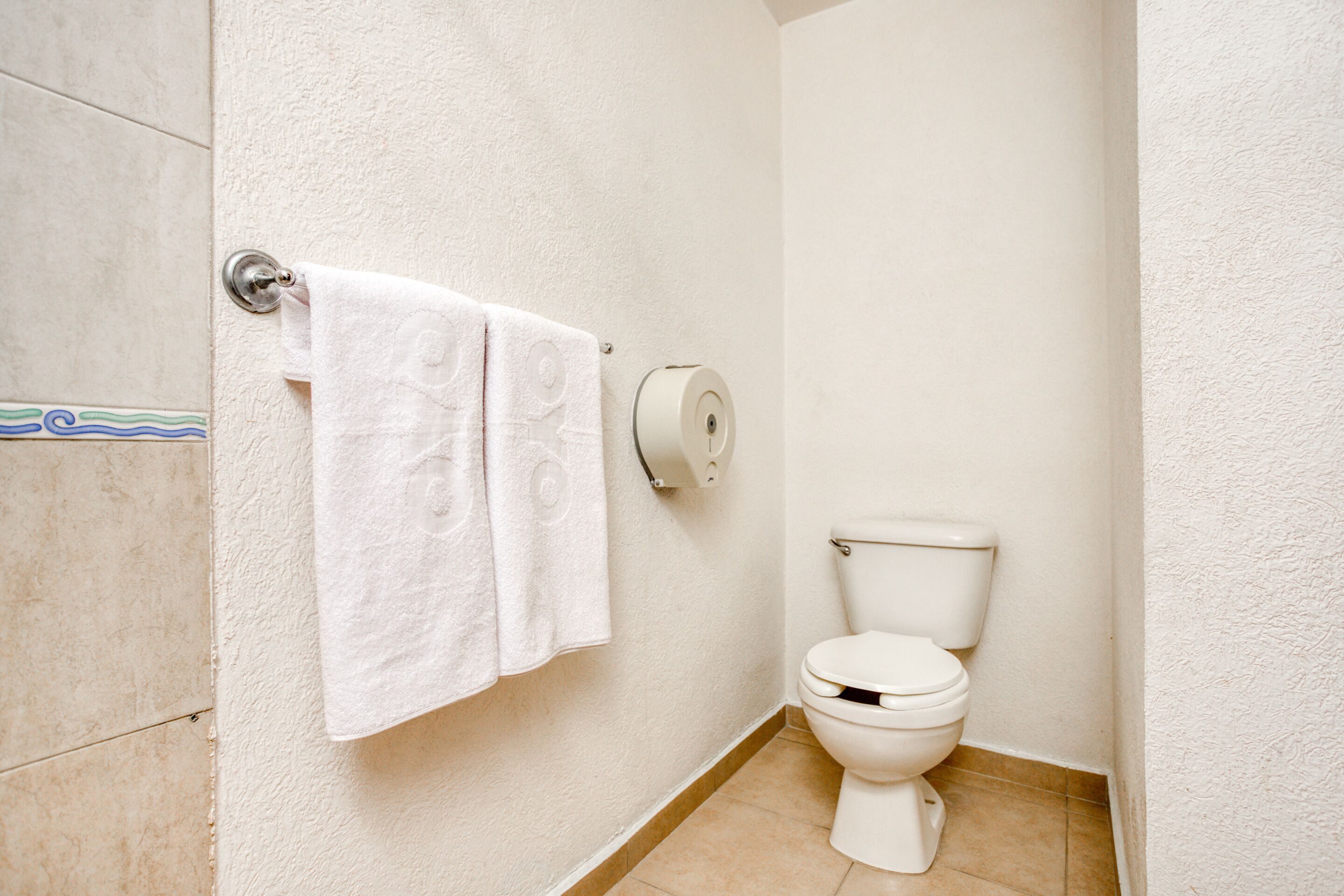 A bathroom with a toilet, a towel rack with a white towel, and a toilet paper holder.