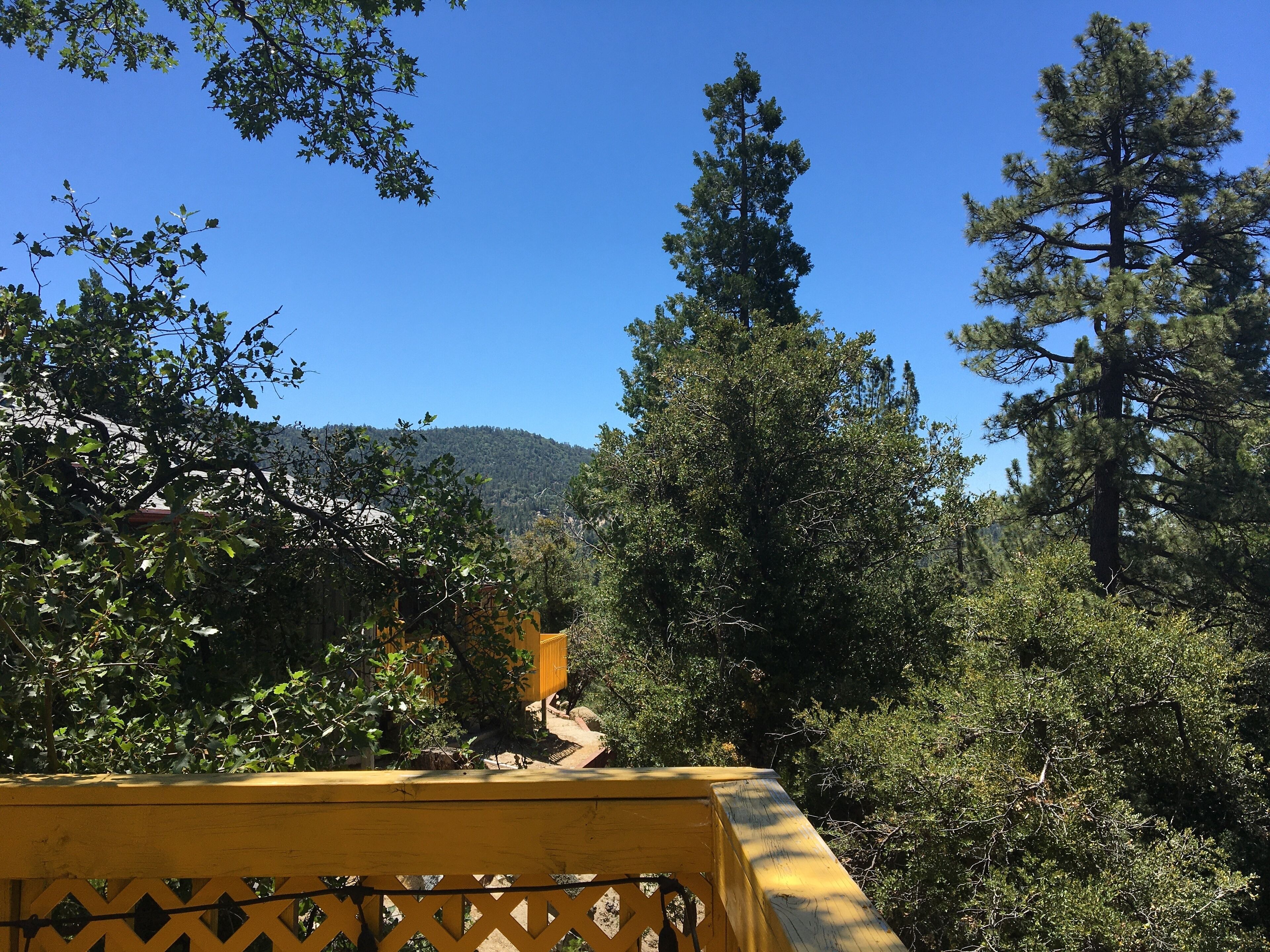 A wooden deck with a yellow railing overlooking a forested area with tall trees and a mountain in the background.