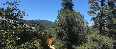 A wooden deck with a yellow railing overlooking a forested area with tall trees and a mountain in the background.
