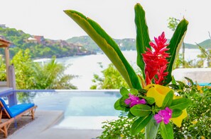 Outdoor pool - Bungalows La Madera (Zihuatanejo)