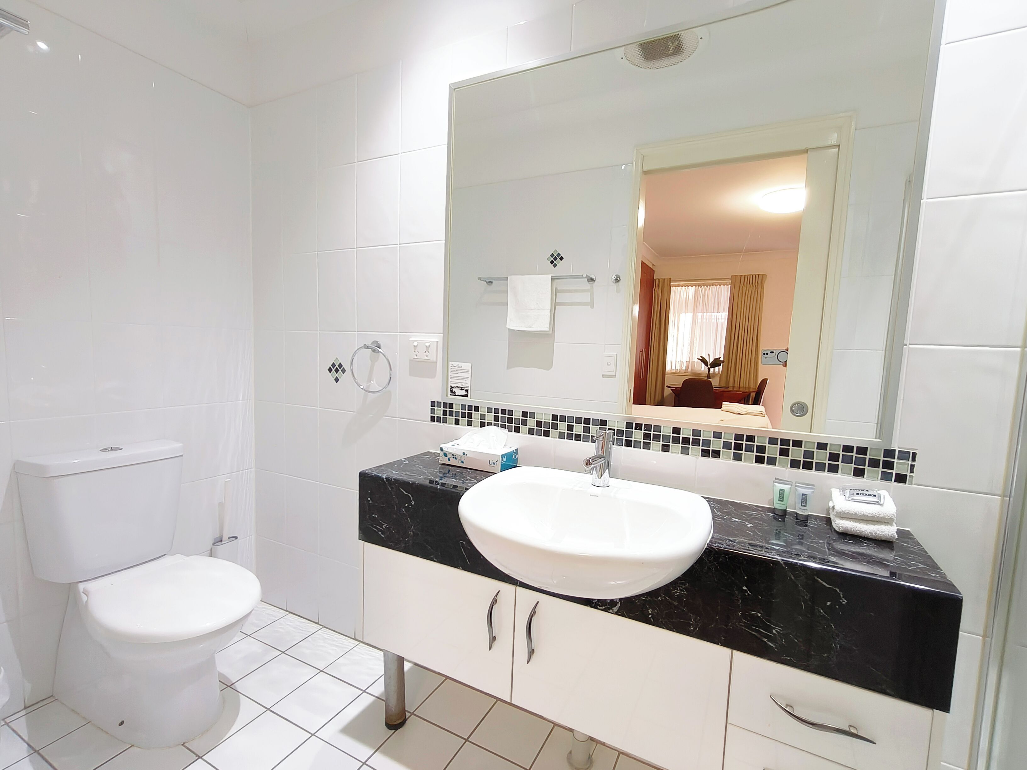 Ein Badezimmer mit einer weißen Toilette, einem Waschbecken mit schwarzer Arbeitsplatte und einem großen Spiegel.