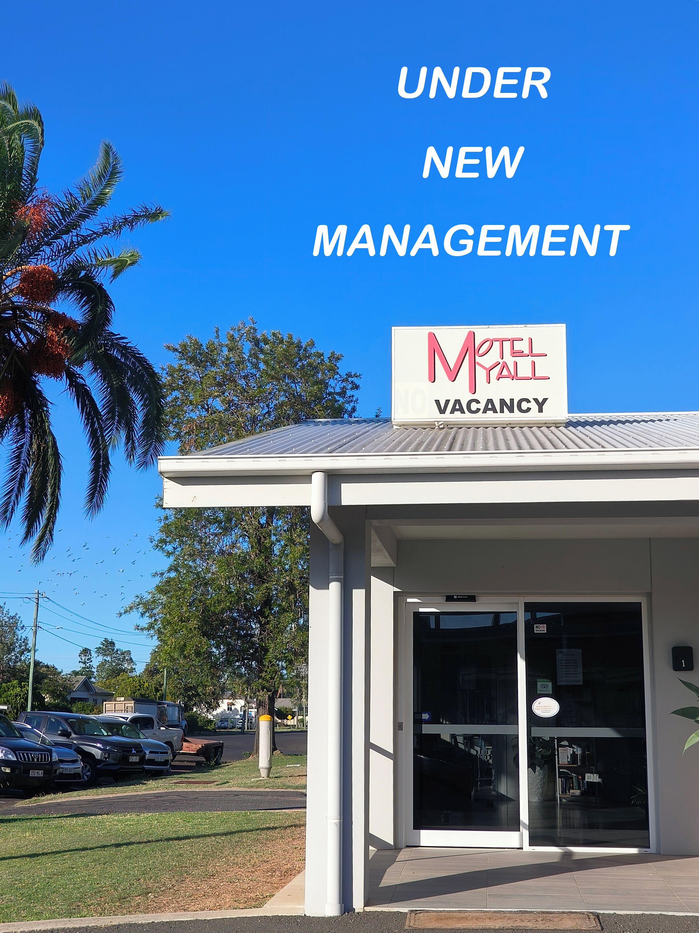 منطقة الاستقبال