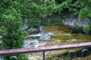 Un arroyo pedregoso rodeado de abundante vegetación verde.