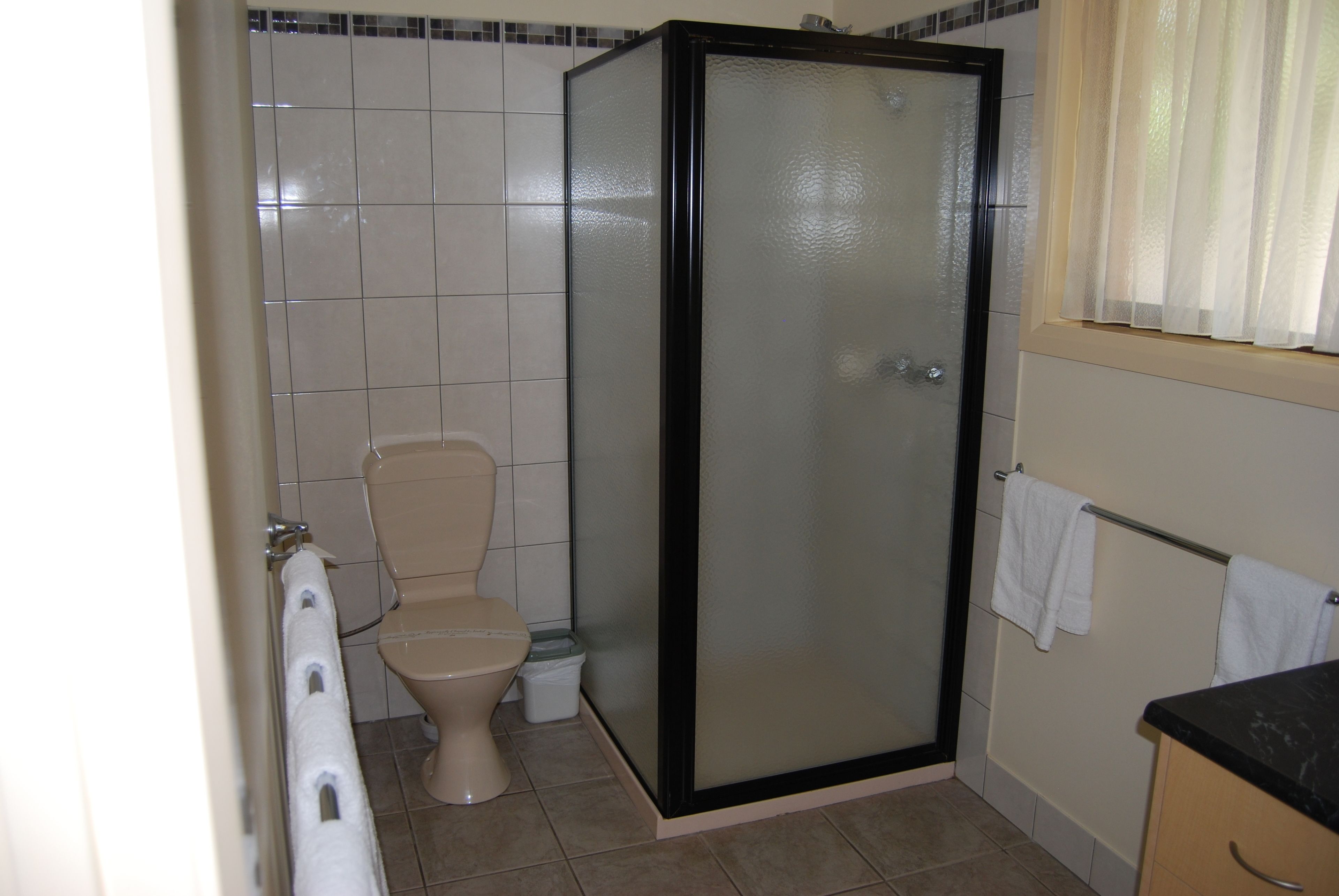 A bathroom with a toilet, a glass-enclosed shower, and a towel rack.