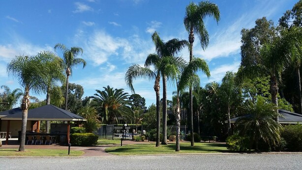 A resort with a covered seating area, palm trees, and a clear sky.