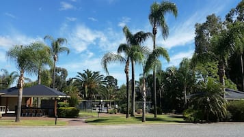 Relax in a serene, outdoor space surrounded by lush greenery and palm trees.