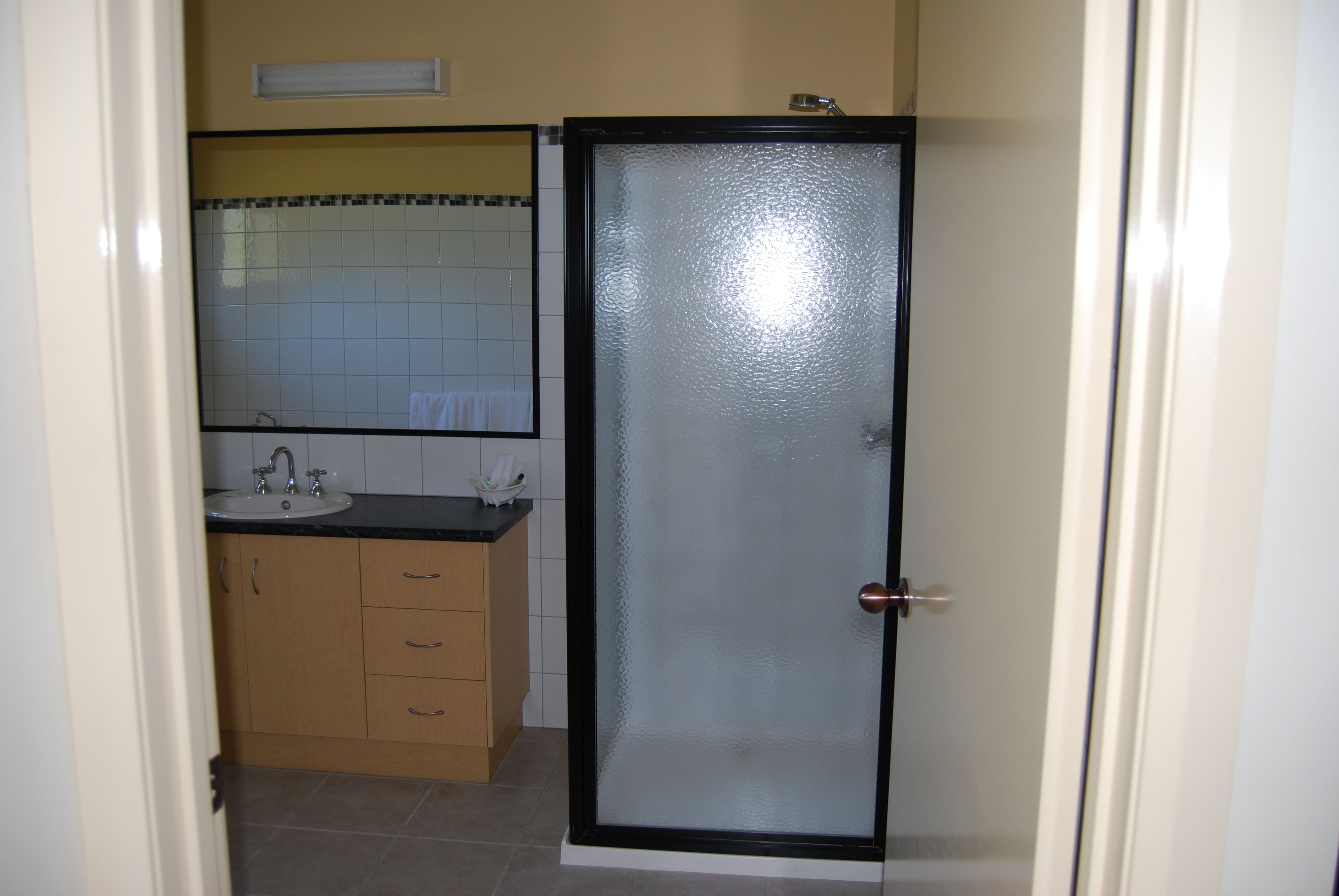 A bathroom with a glass shower door, a sink, and a mirror above it.