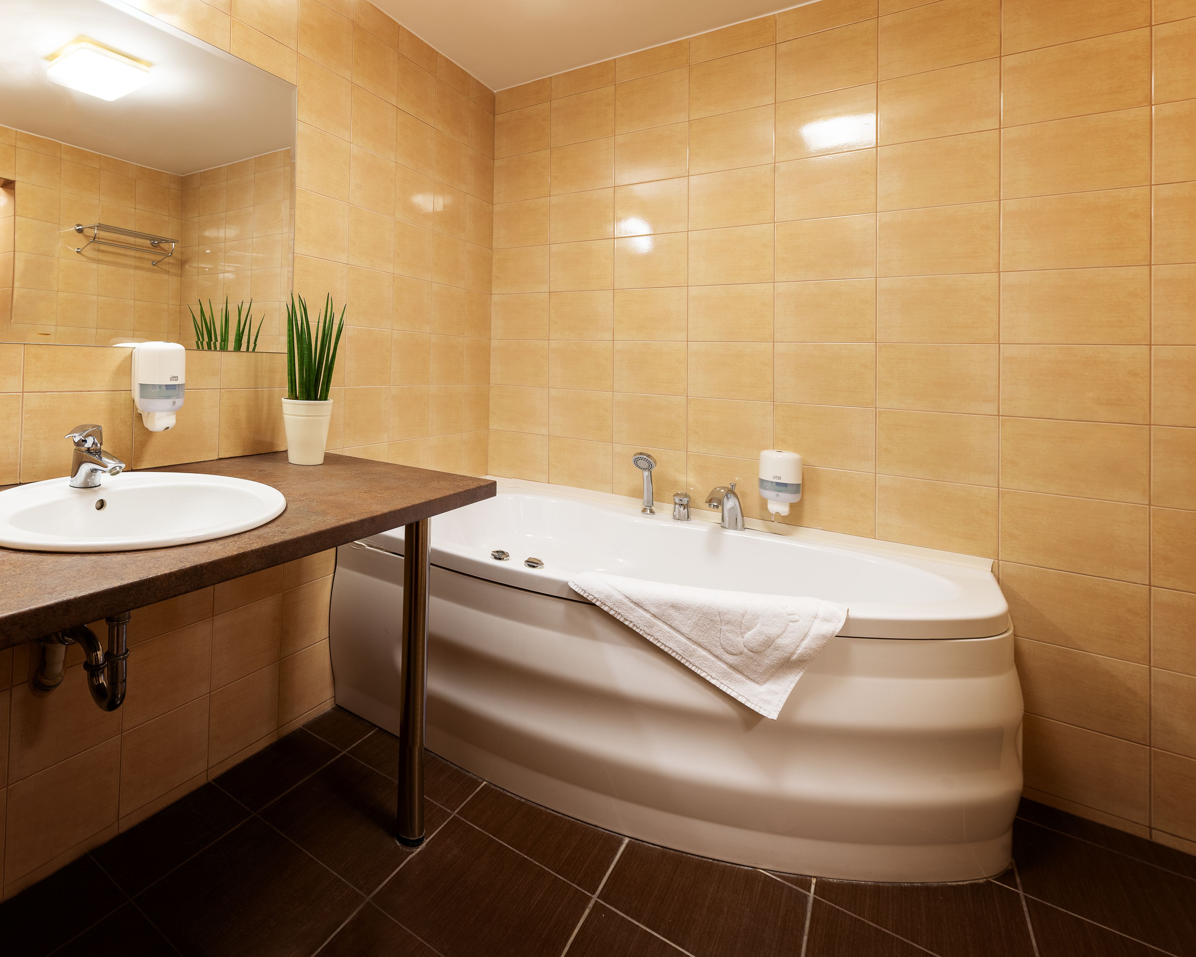 comfort apartment, 1 bedroom | bathroom | free toiletries, towels