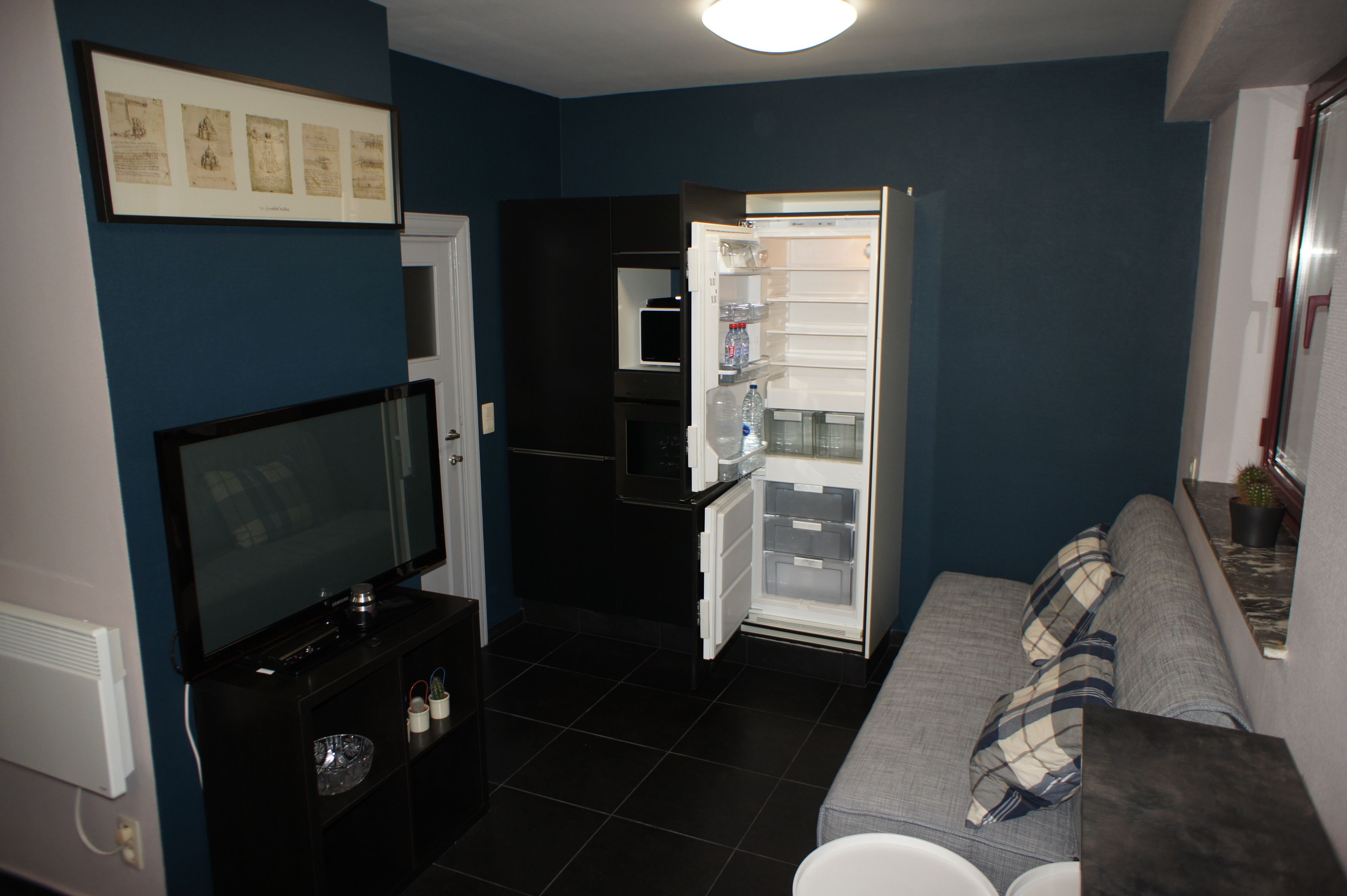 superior apartment, 1 bedroom, kitchen | living room | 48-inch led tv with satellite channels, tv, netflix