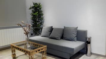 Woonkamer | Flatscreentelevisie en een dvd-speler