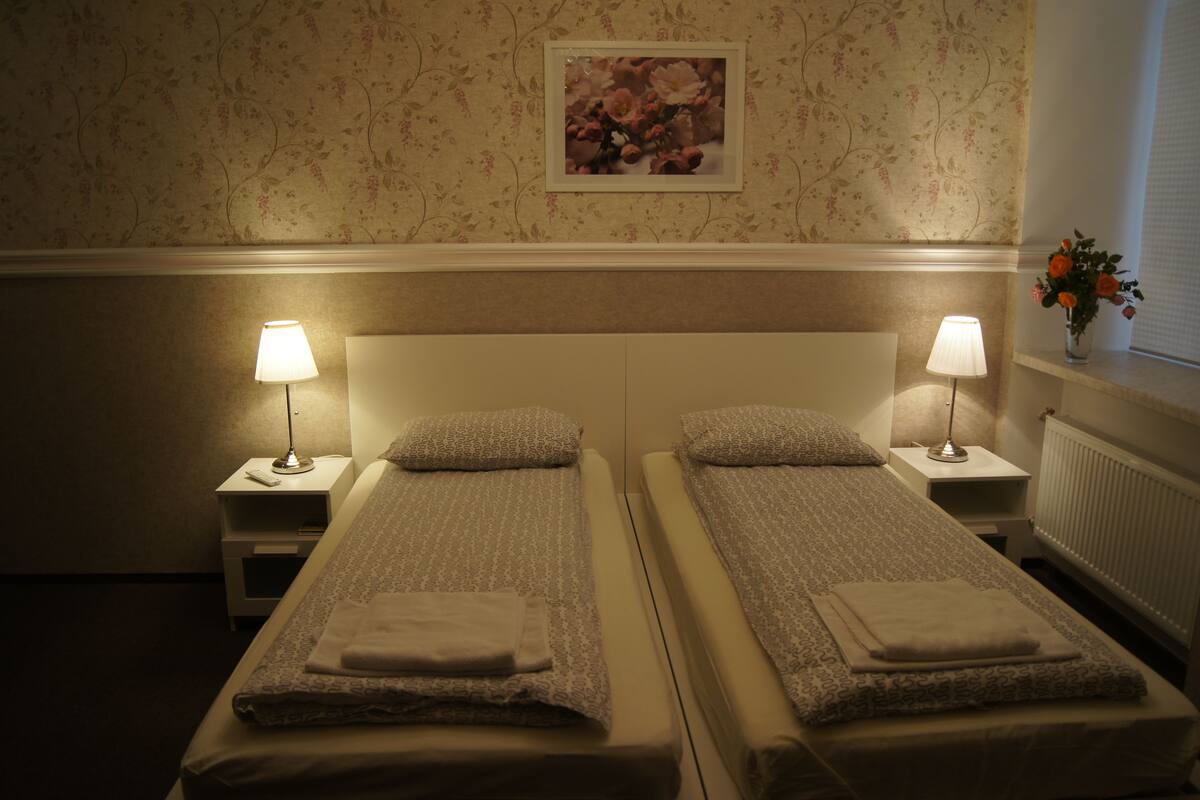 Comfort Twin Room | Desk, iron/ironing board, free WiFi, bed sheets