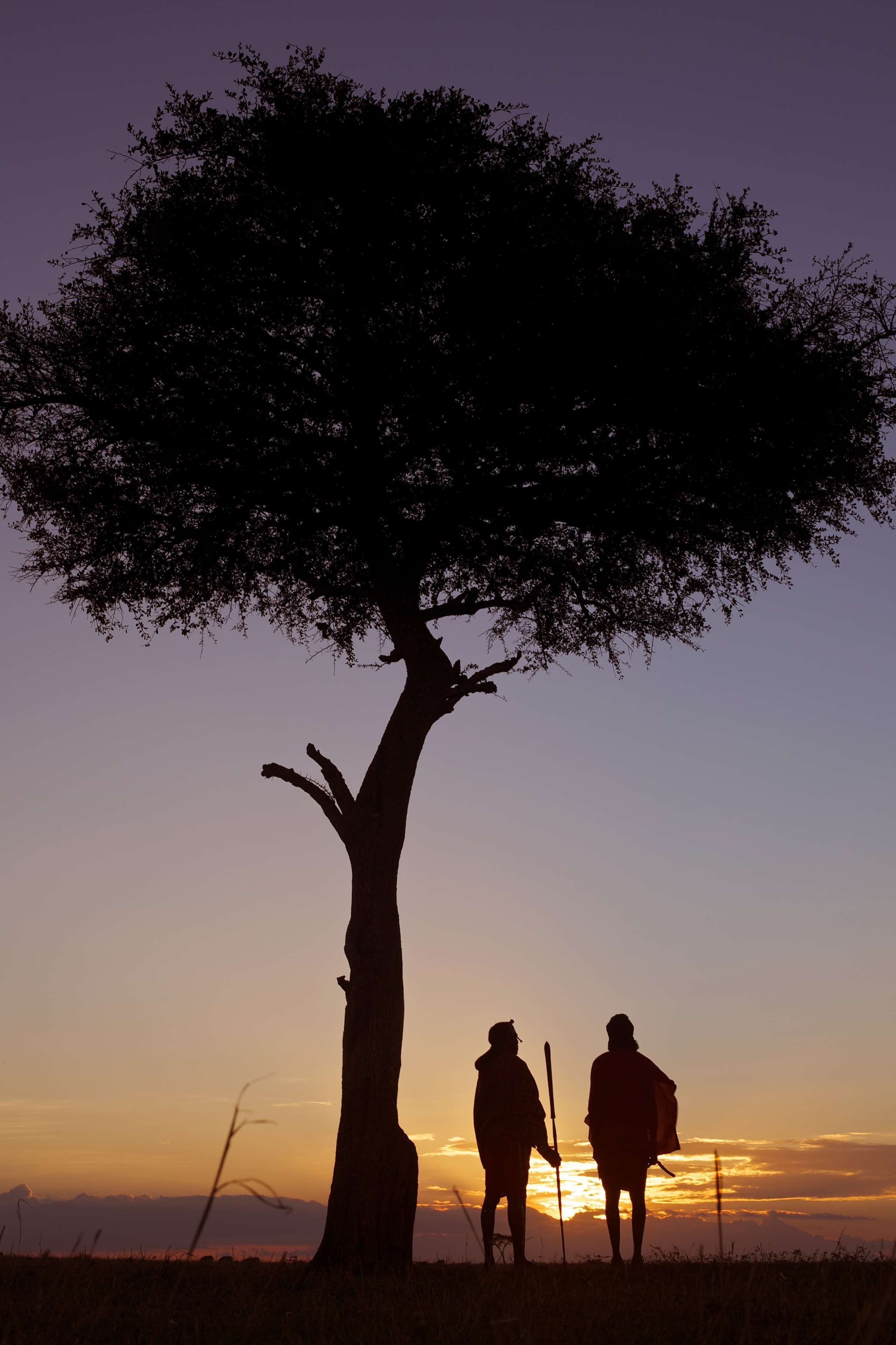 Silhouetten van twee personen staan onder een boom, met een ondergaande zon op de achtergrond.