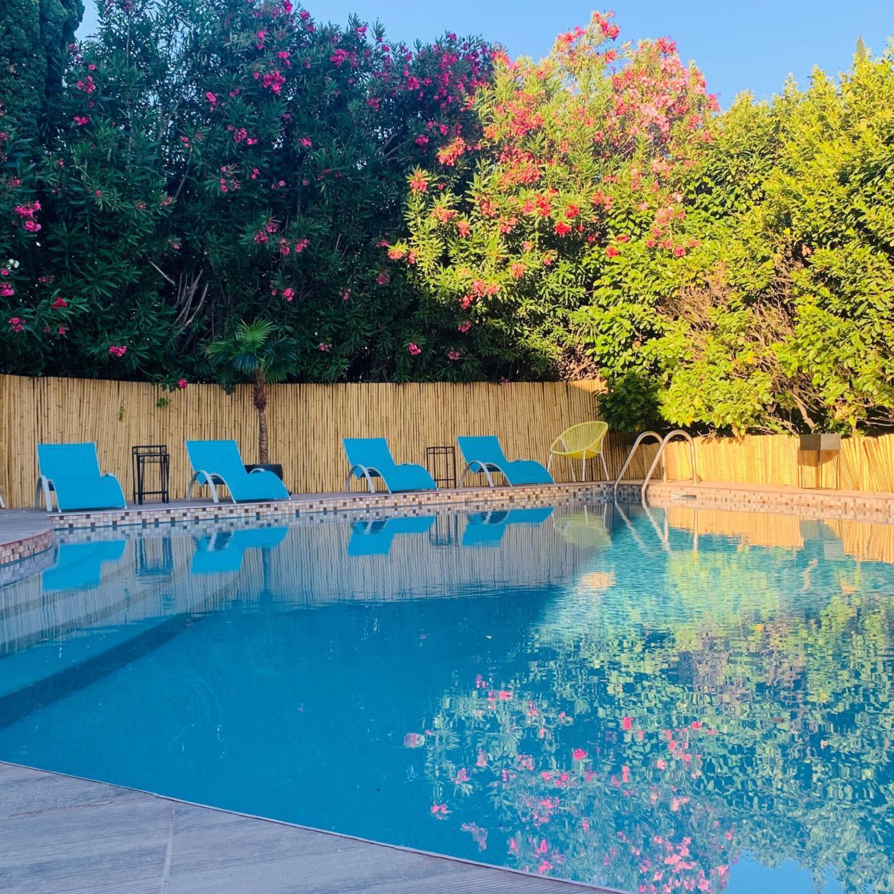 A swimming pool with blue lounge chairs and a bamboo fence.